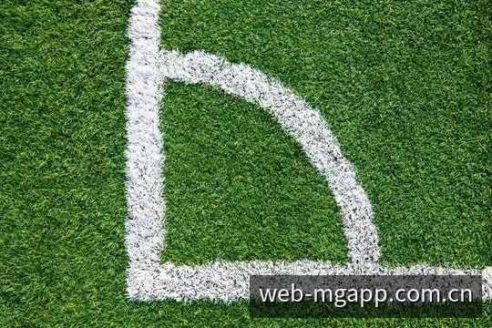 满冠体育数据中心实时比分与赛事统计界面